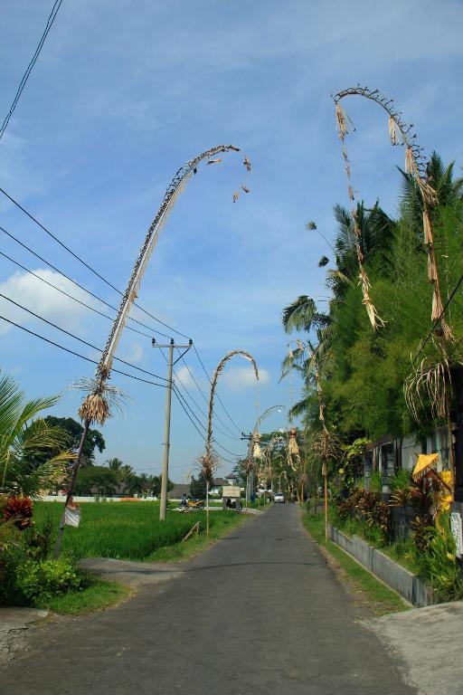 Junjungan Ubud Hotel And Spa Luaran gambar